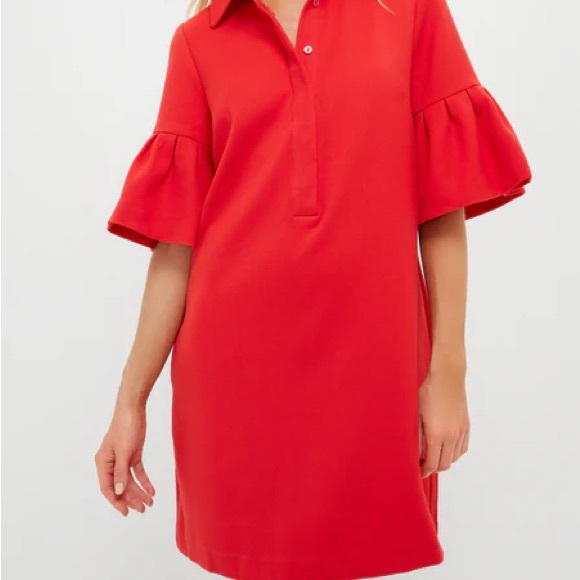 Tuckernuck Dresses & Skirts - Tuckernuck Ruffle Sleeve Polo Dress sz s nwt